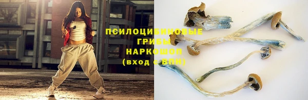 ECSTASY Алексеевка