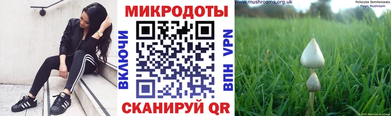 kraken ТОР купить наркоту Кремёнки Галлюциногенные грибы мицелий